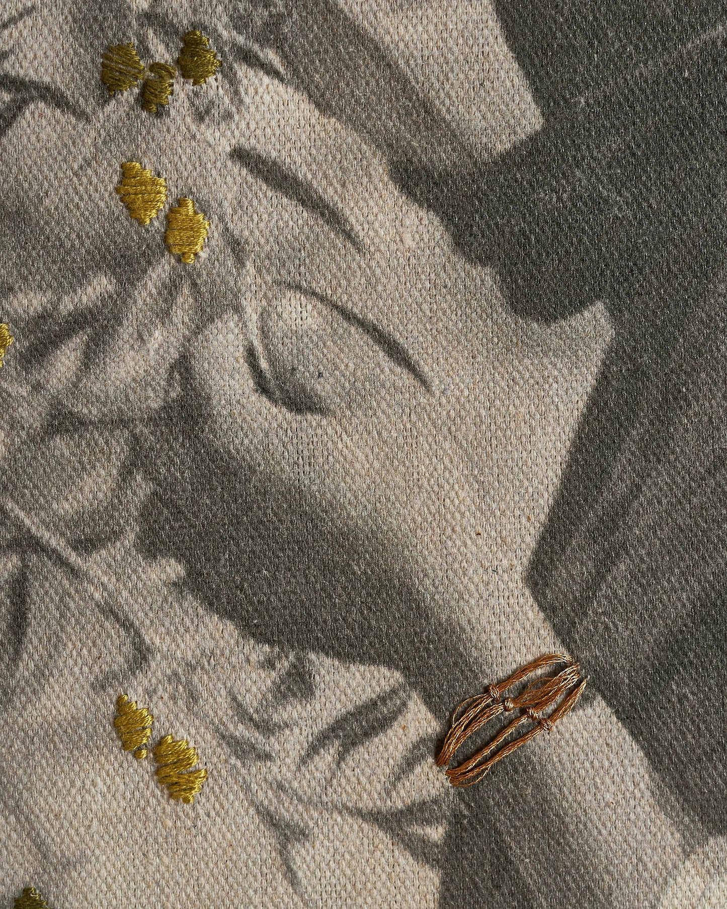Under the Olive Tree